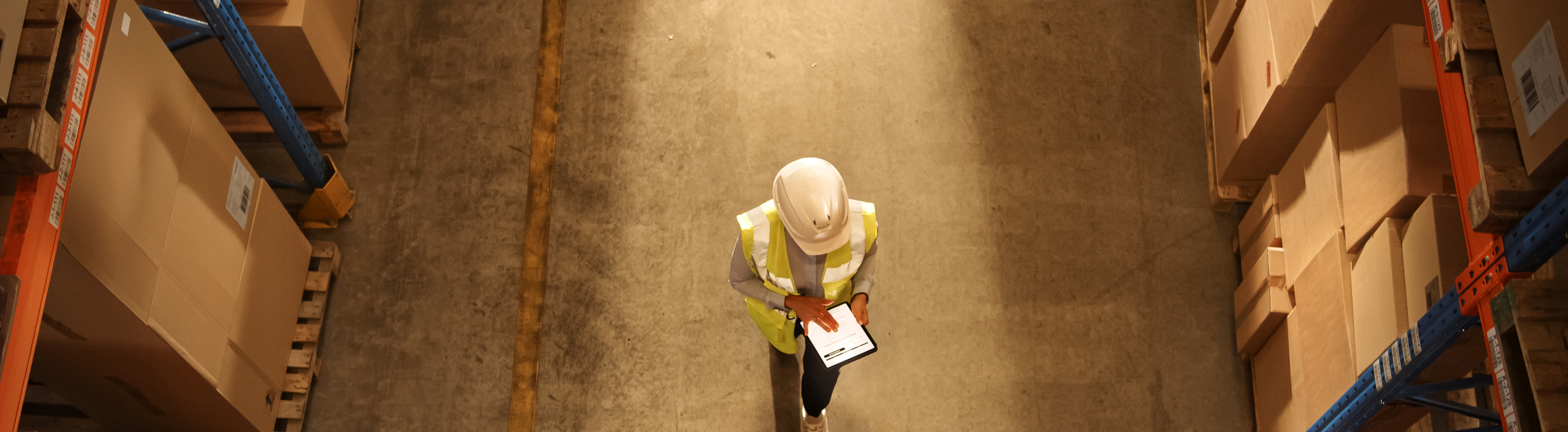 Warehouse Worker In Aisle Birdseye View