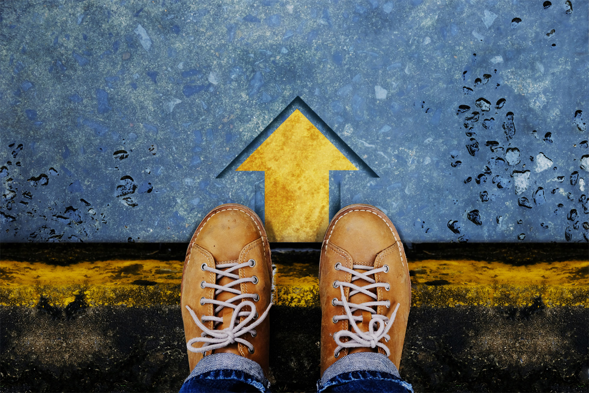 The Roadmap To Successful Transportation Management Solutions