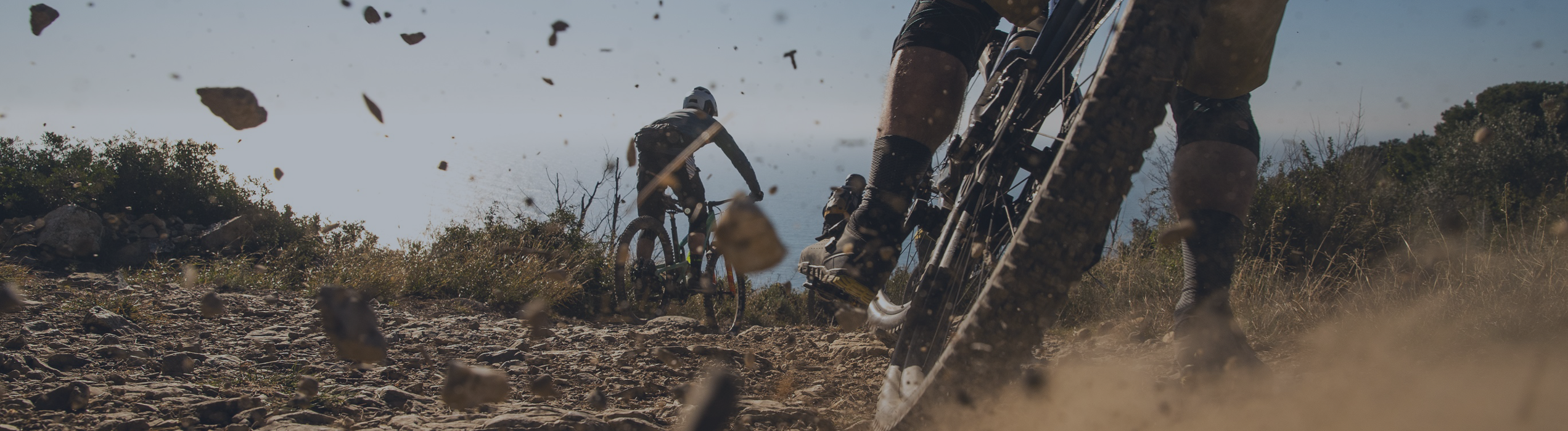 Bike Components