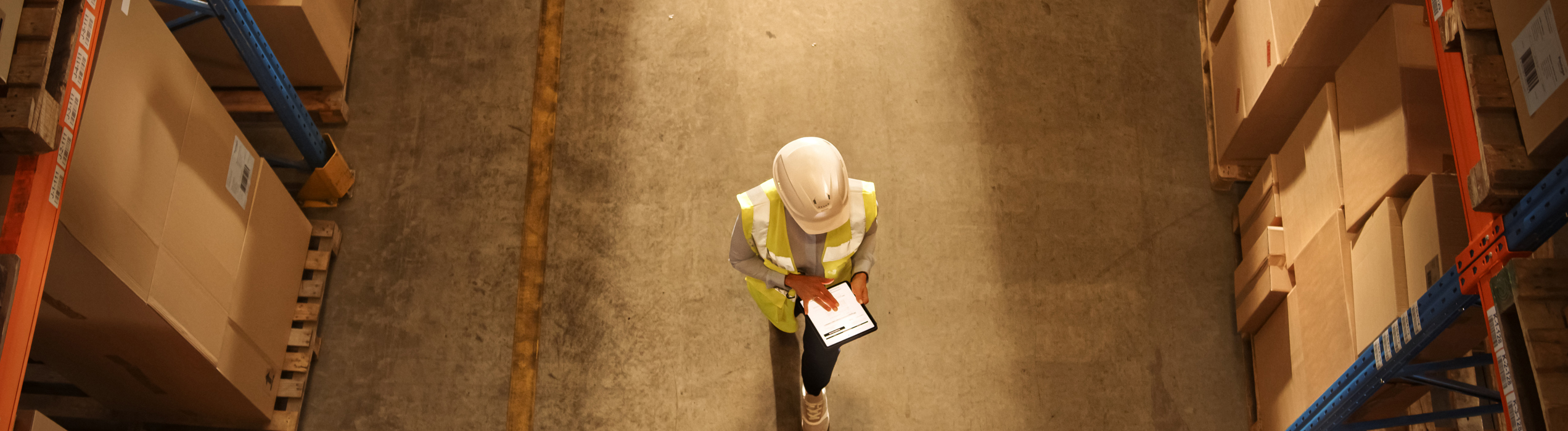 Warehouse Worker In Aisle Birdseye View (1)